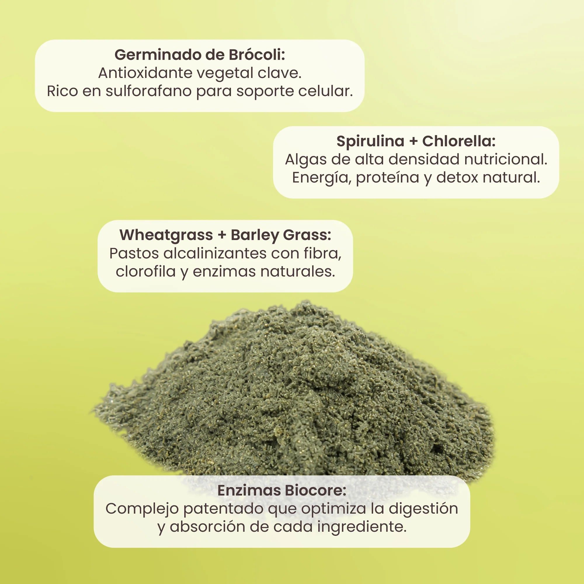 Matter Green Goddess Mezcla de Superalimentos Liofilizados con Enzimas BioCore 24 sobres de 10g c/u