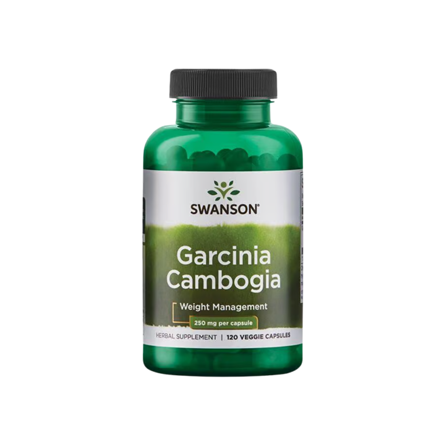 Swanson Superior Herbs Garcinia Cambogia 250 mg 120 cápsulas vegetales