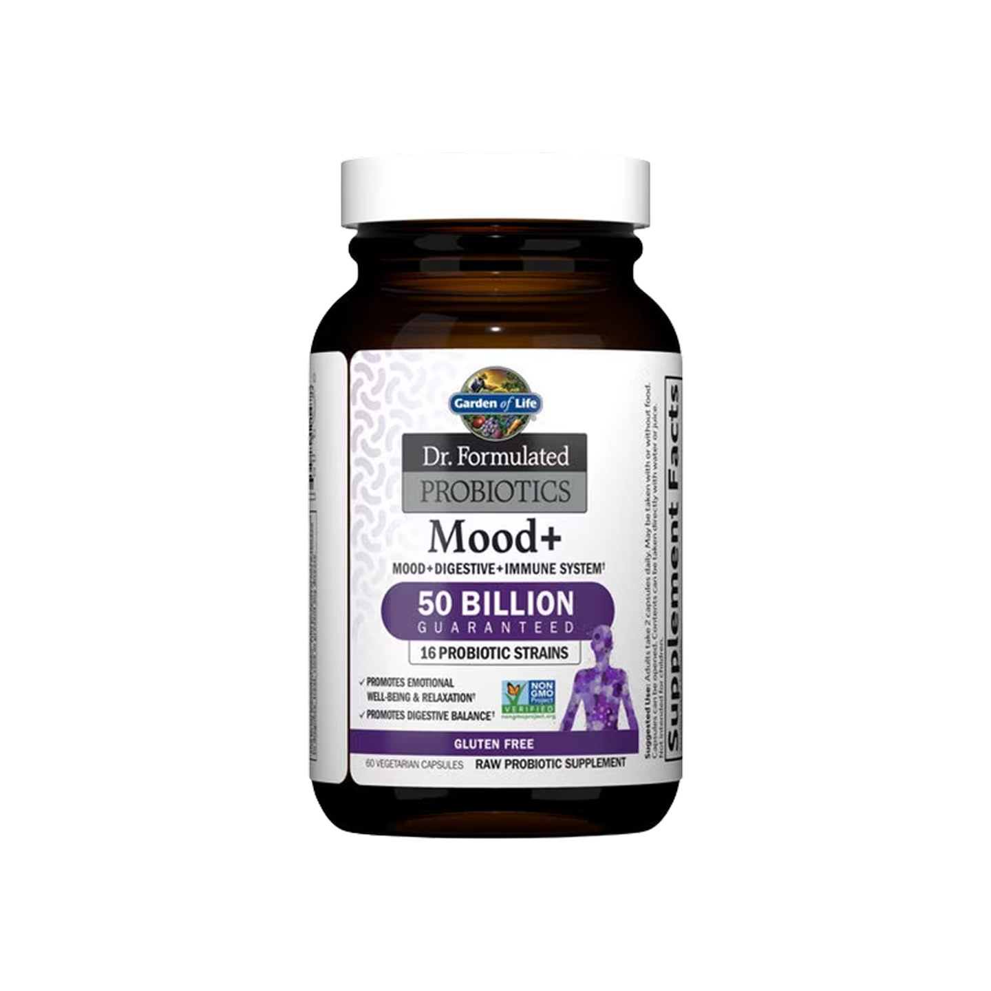 Garden of Life Dr. Formulated Probiotics Mood 60 cápsulas vegetales