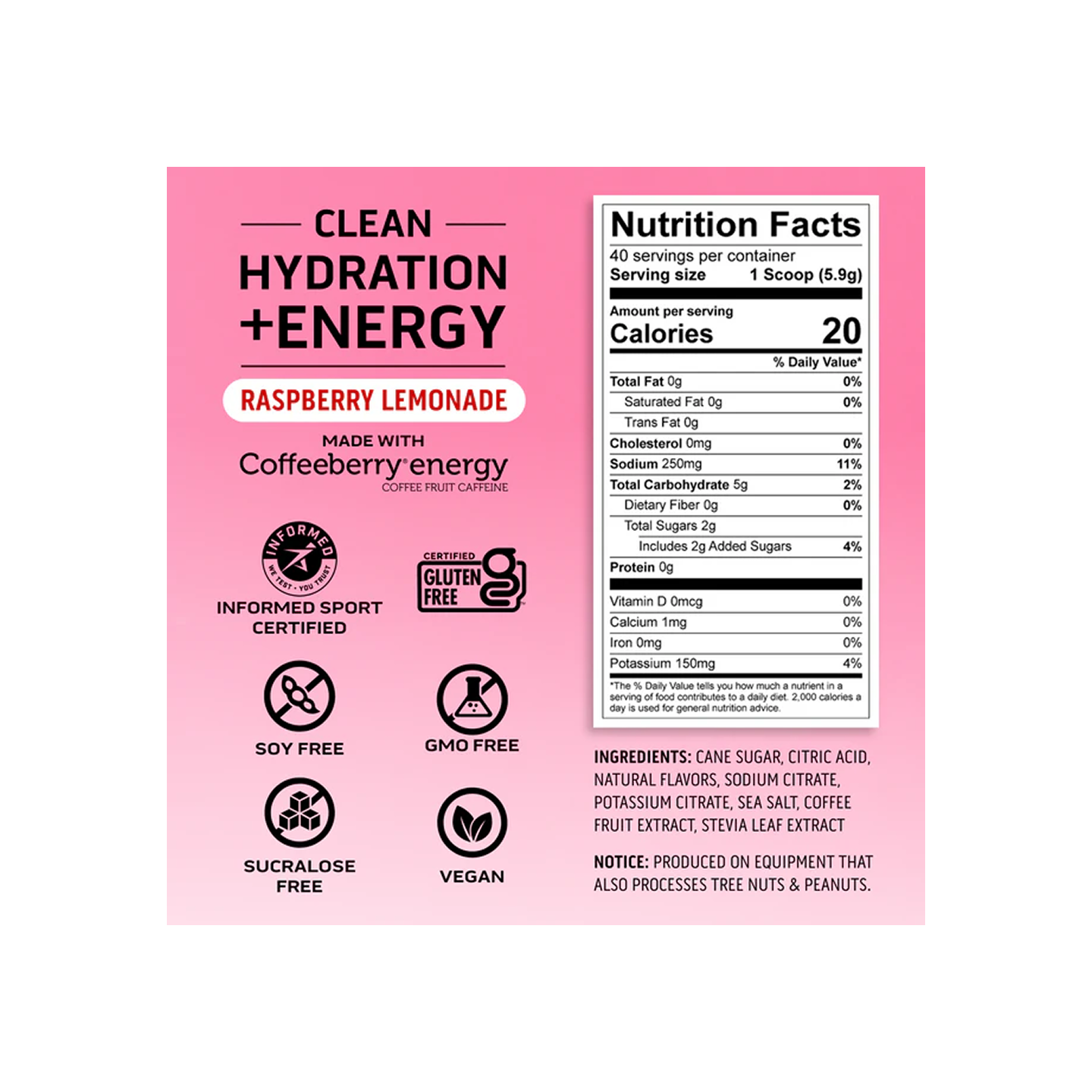 Ascent Clean Electrolytes Hidratación + Energía Limón y Frambuesa 40 porciones