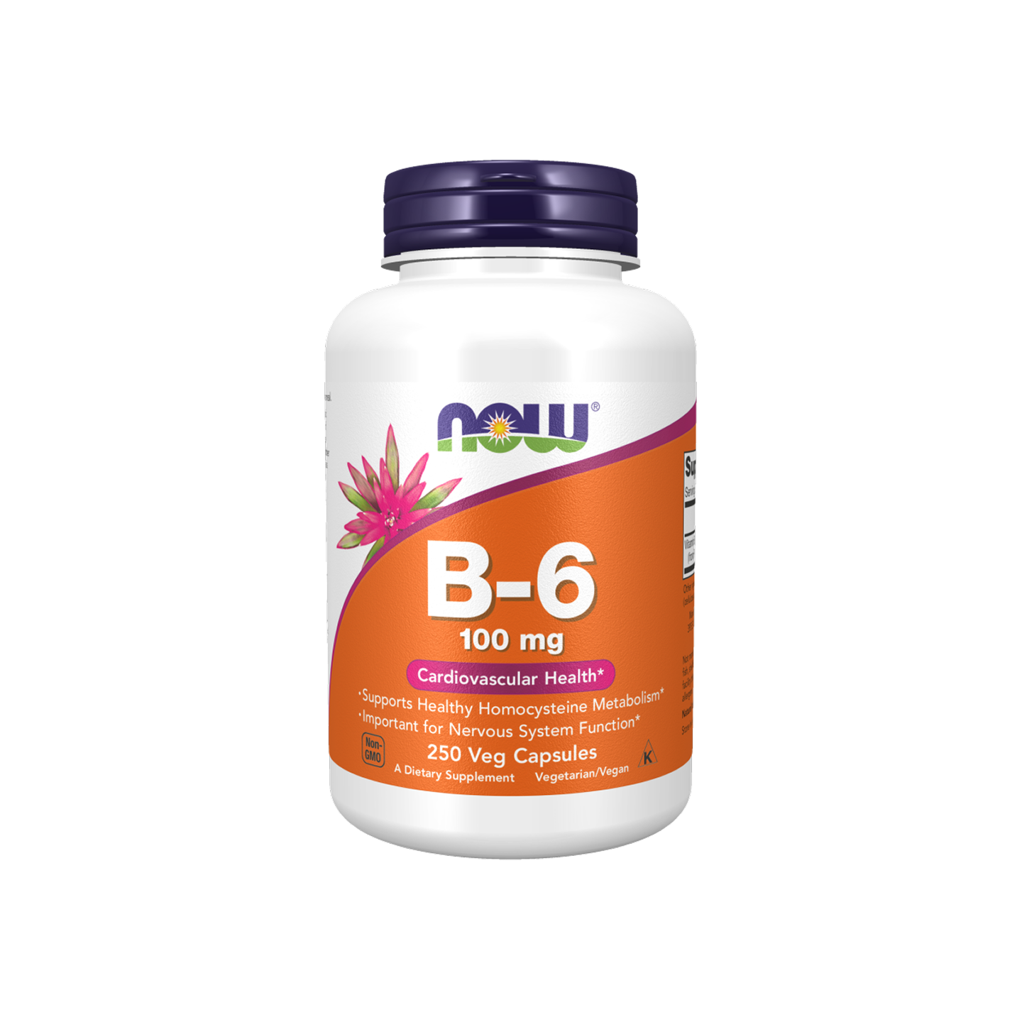 NOW Foods Vitamina B-6 100 mg – 250 Cápsulas Veganas