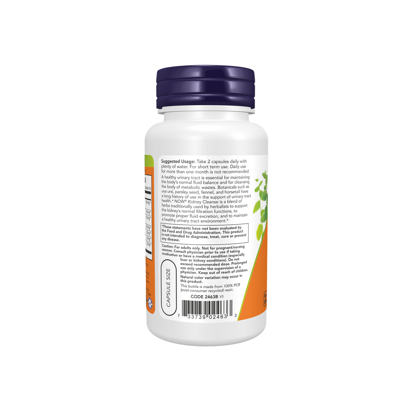 NOW Foods Kidney Cleanse 90 Veg Capsules