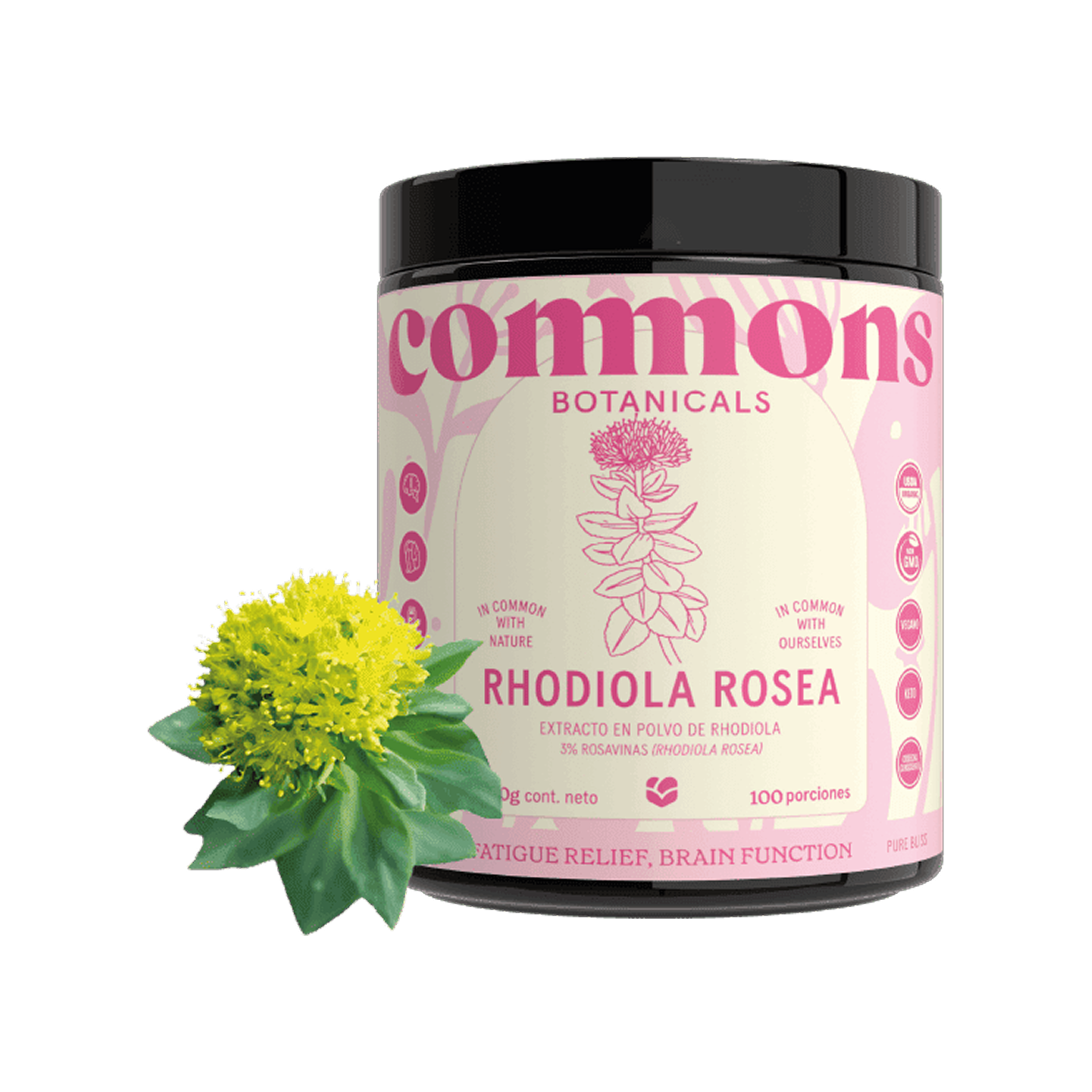 Commons Botanicals Rhodiola Rosea - Reduce cansancio físico y mental - 100 porciones