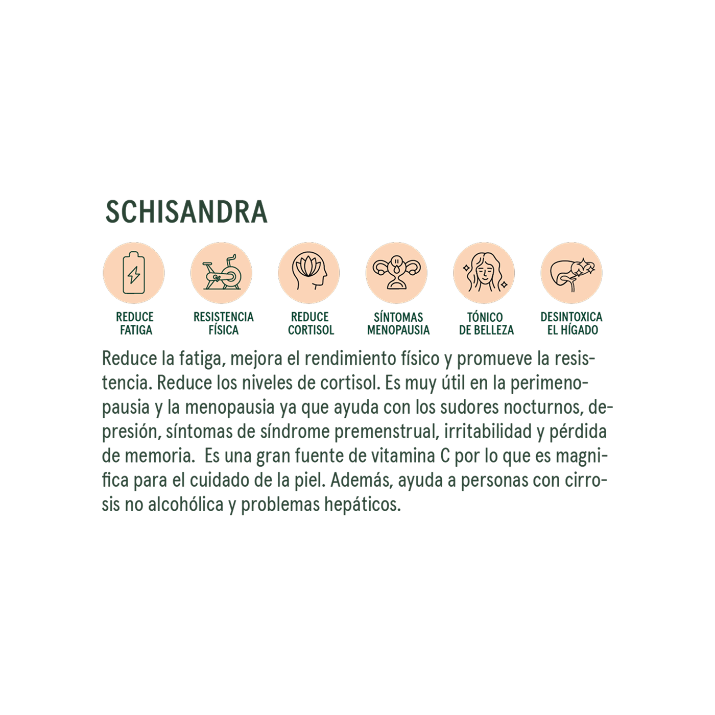 Commons Botanicals Schisandra - Resistencia física y mental - 100 porciones