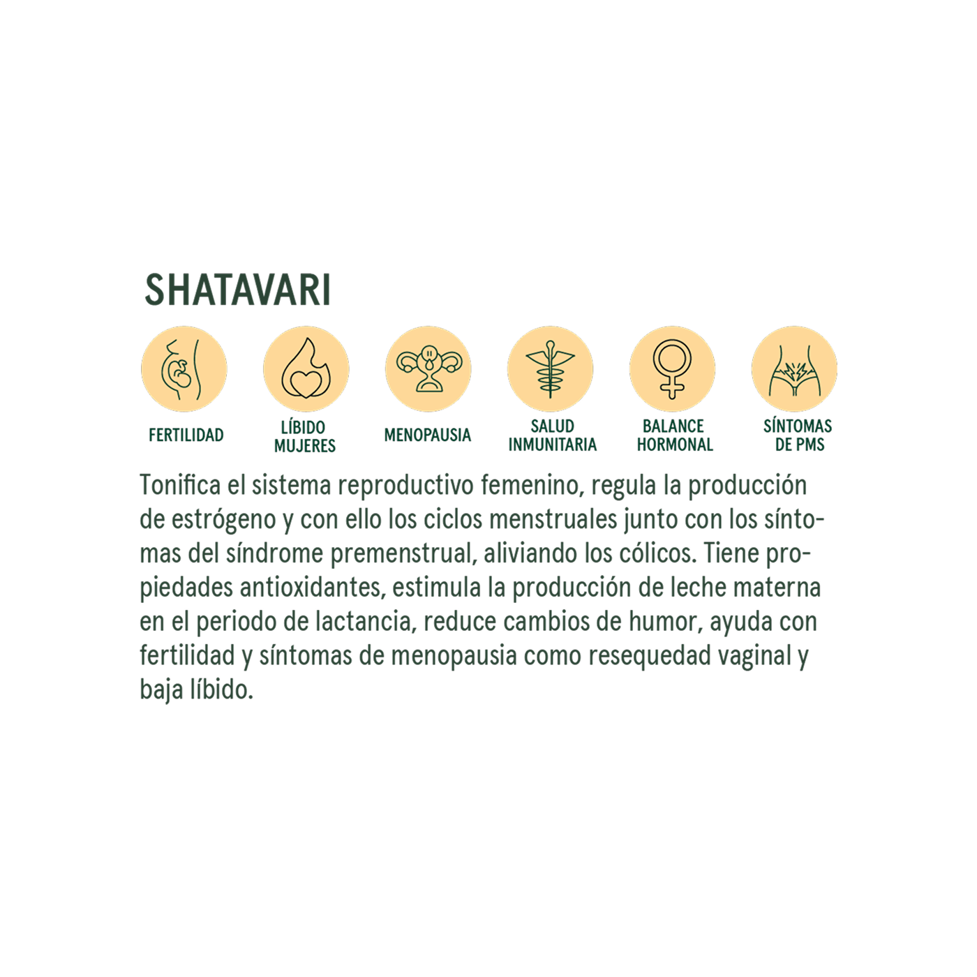 Commons Botanicals Shatavari - Salud femenina - 100 porciones