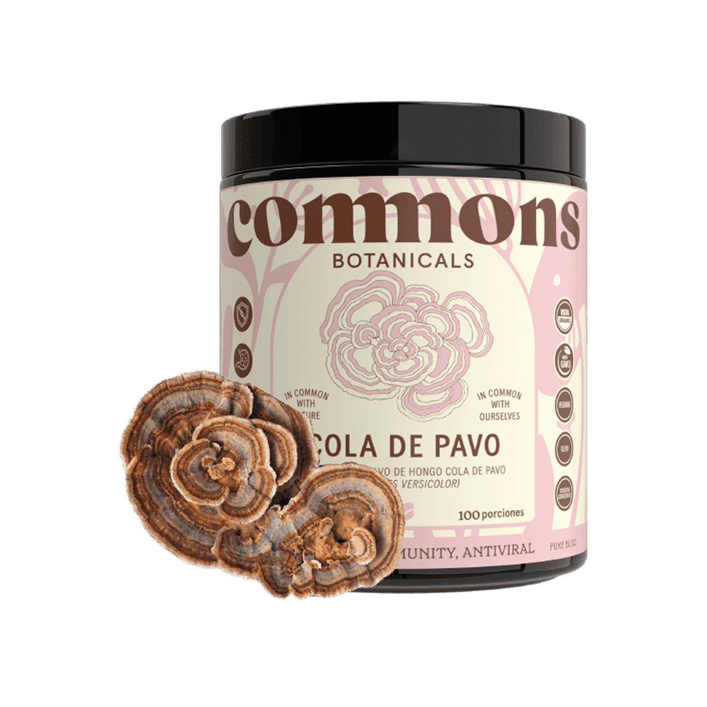 Commons Botanicals Hongo Cola de Pavo - Sistema inmune y salud intestinal - 100 porciones