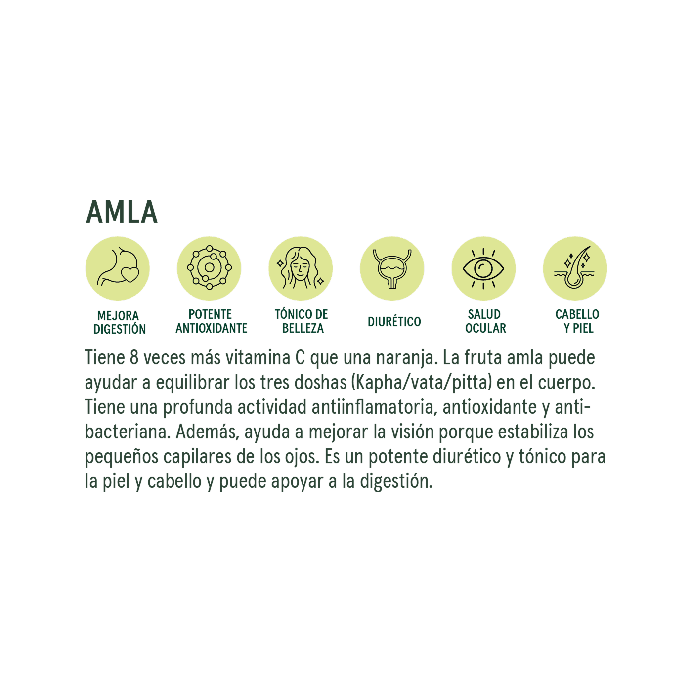Commons Botanicals Amla - Acción antioxidante y antiinflamatoria - 100 porciones