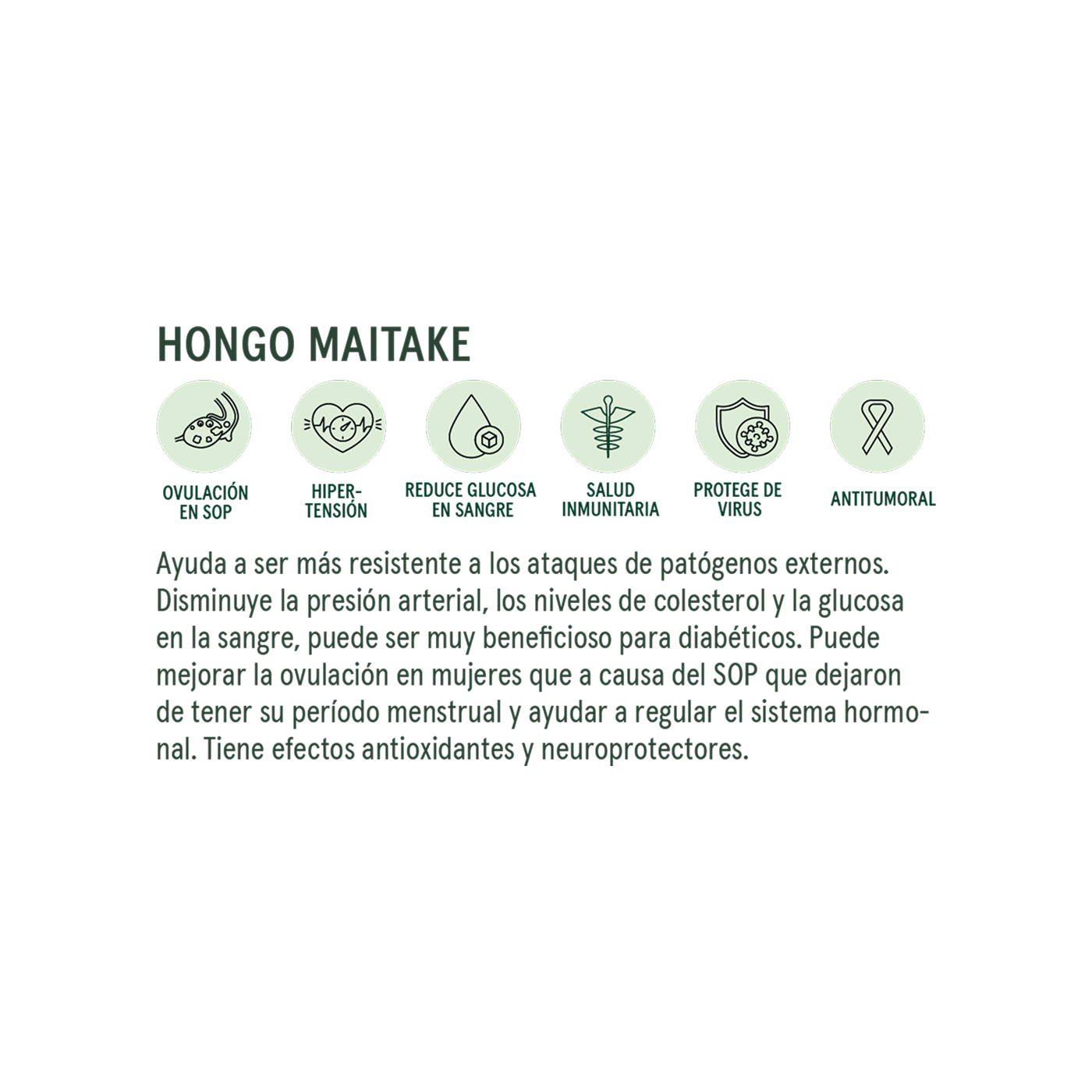 Commons Botanicals Hongo Maitake - Sistema inmune y regula glucosa - 90 porciones