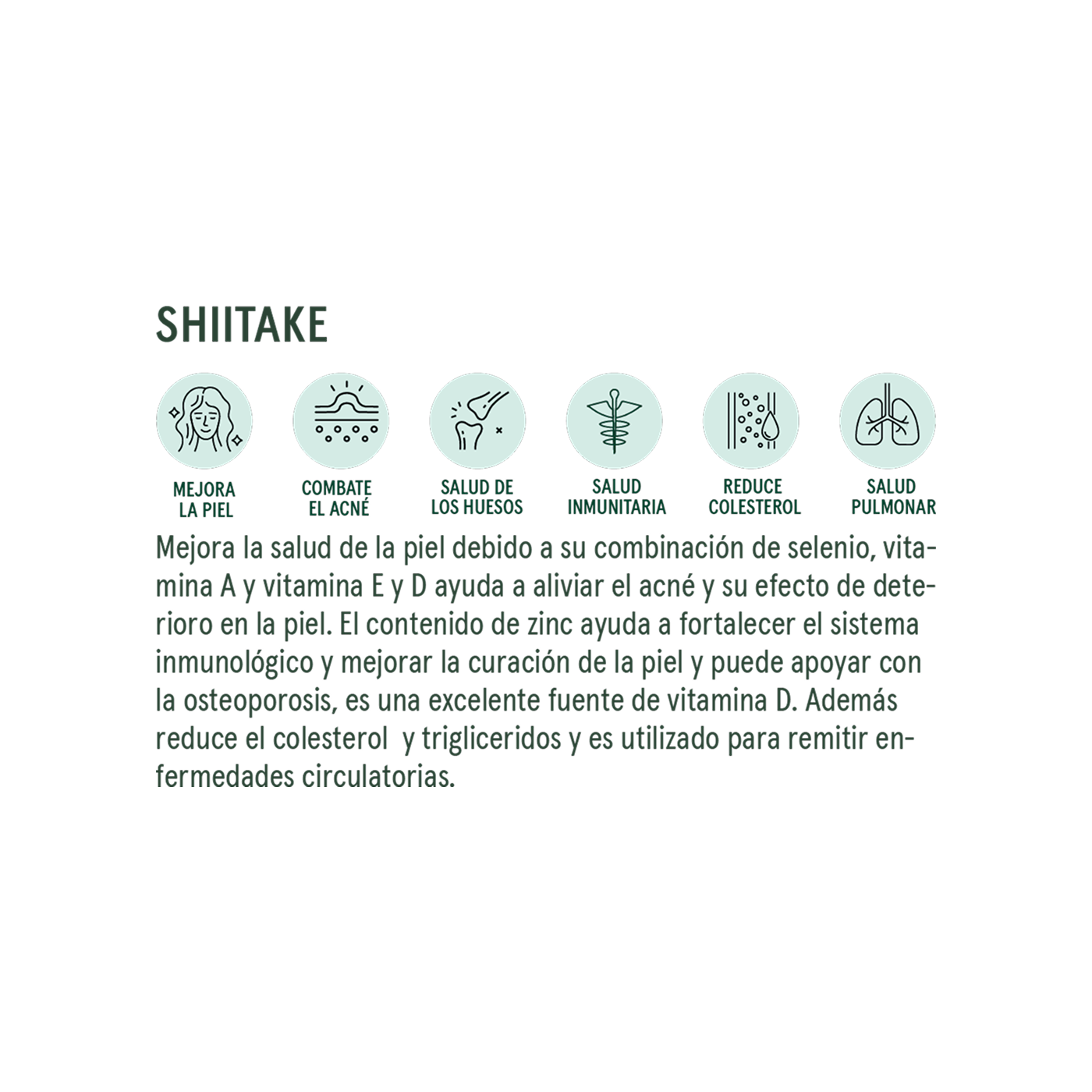 Commons Botanicals Hongo Shiitake - Sistema inmune y antioxidante - 90 porciones