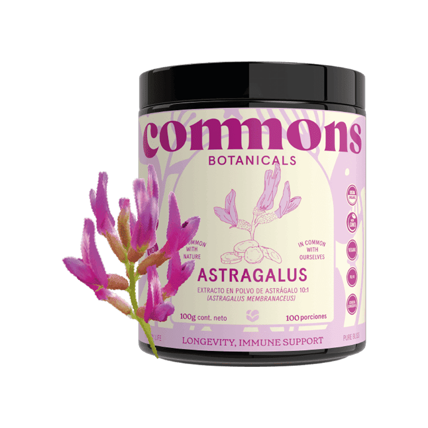 Commons Botanicals Astrágalo - Refuerza sistema inmune - 100 porciones