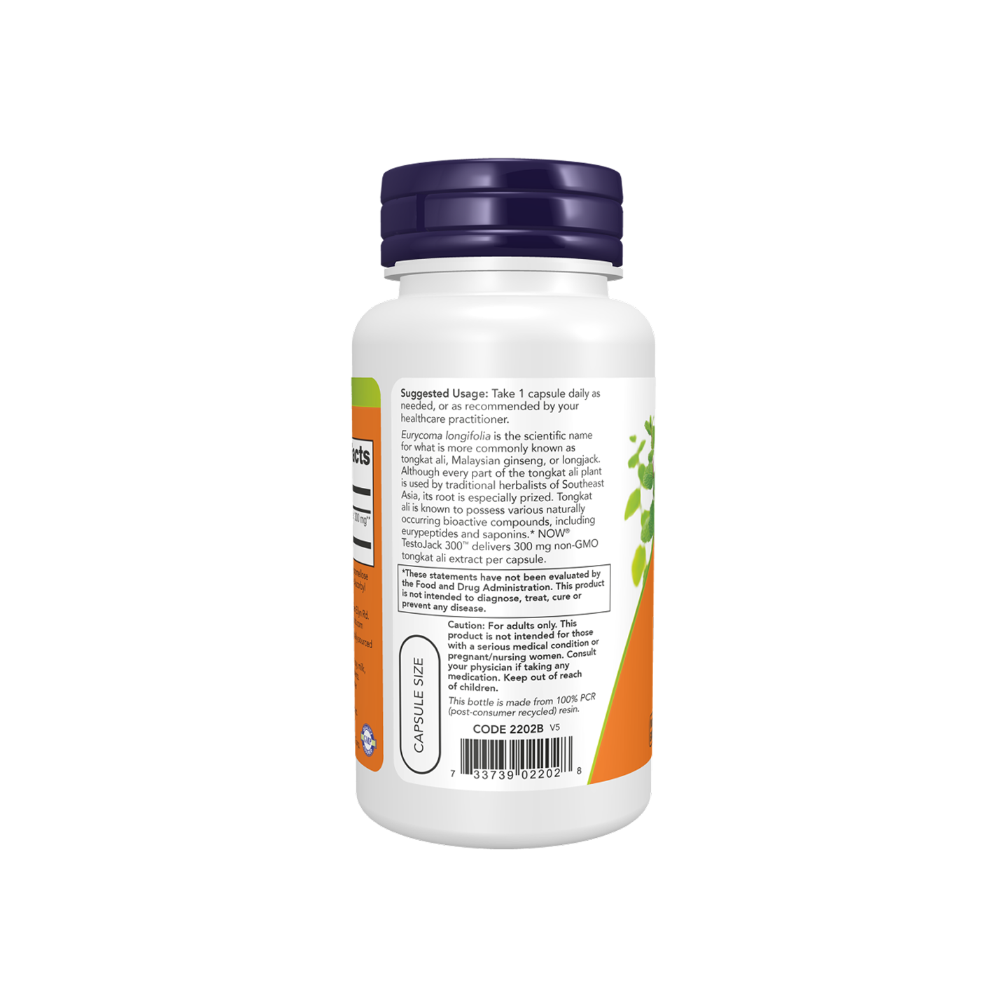 NOW Foods TestoJack 300 60 cápsulas vegetales