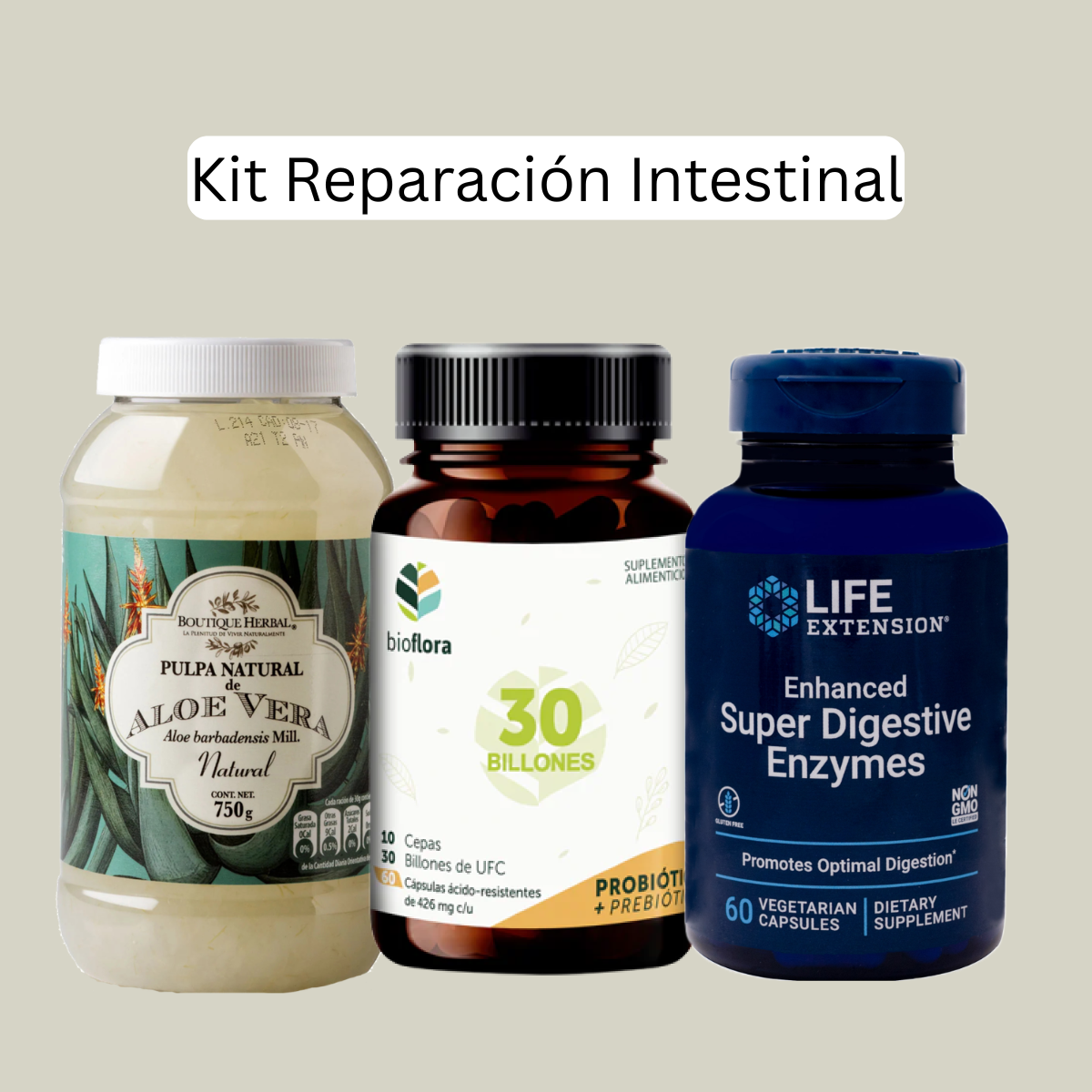 Kit Reparación Intestinal